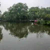 上有天堂，下有蘇杭🏞無庸置疑的人間美景🥹