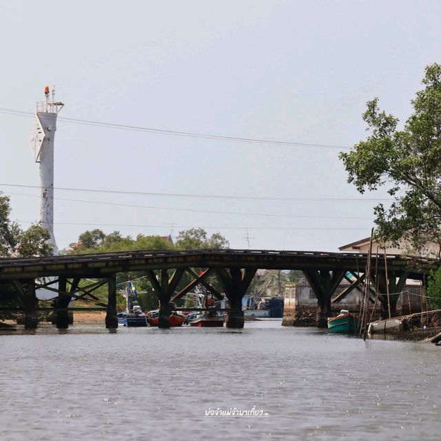 ล่องเรือชมวิถีชุมชนปากน้ำปราณ