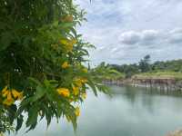 หินลาวาบะซอลต์ที่บุรีรัมย์