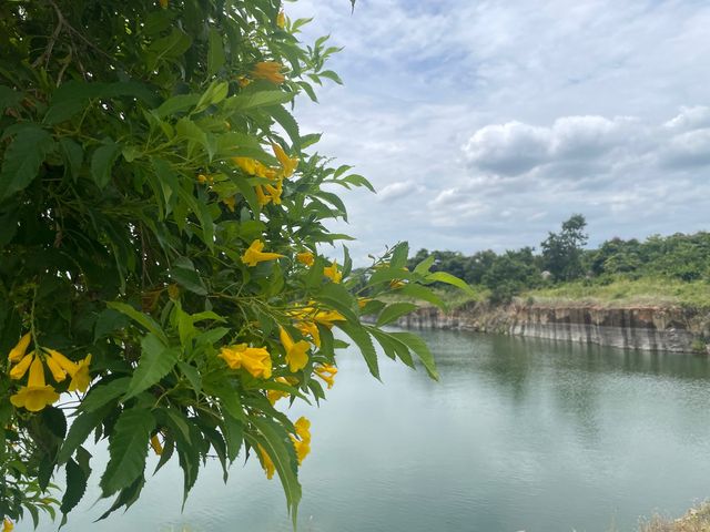 หินลาวาบะซอลต์ที่บุรีรัมย์
