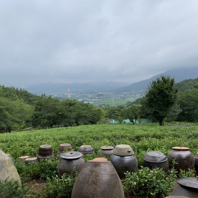 경남 고성에 위치한 작은 식물원, 만화방초