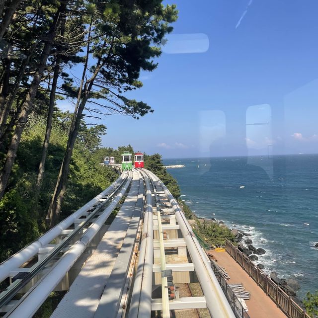 釜山海雲台人氣膠囊列車🥳
