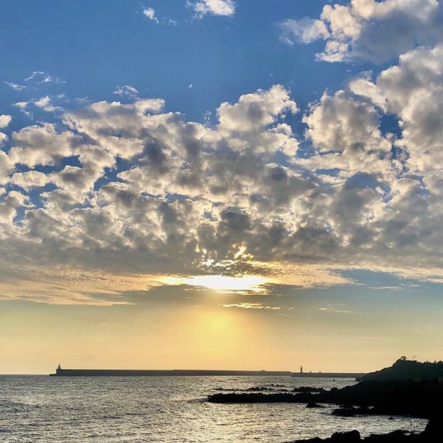 🏝️서귀포의 일랑일랑, 몽글한 범섬 감성