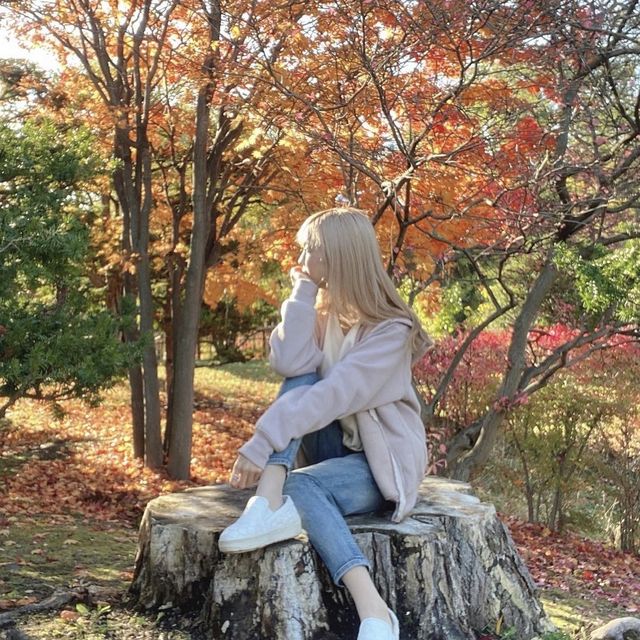 《北海道》四季を楽しめる公園🐥