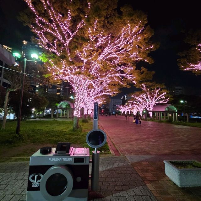 日本最高的海濱塔「福岡塔」🗼