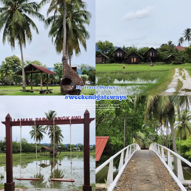 Laman Padi Langkawi