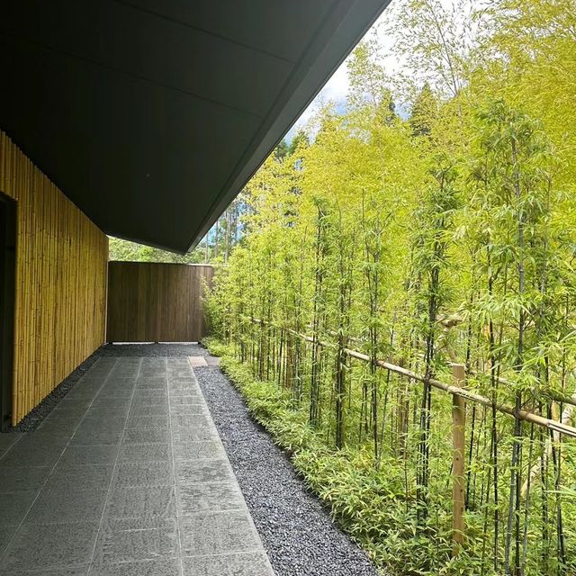 🌿🧘🏨 界─禪意與自然🌿🧘🏨