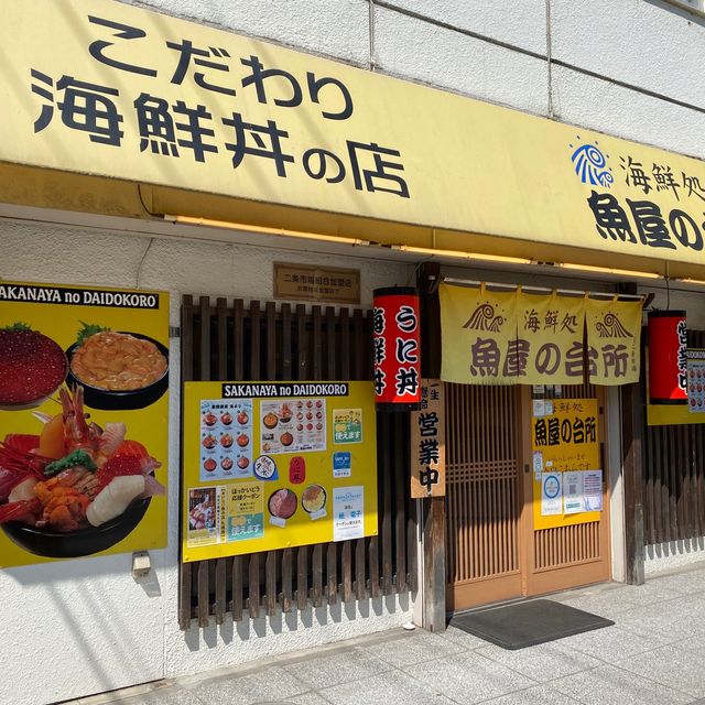 삿포로 니조시장 카이센동 맛집 사카나야🦐살아있는 새우라니..