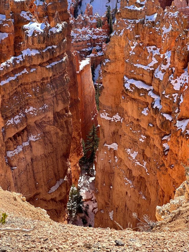 Bryce Canyon winter story❄️☃️🏔️🏜️