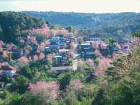 บ้านร่องกล้า