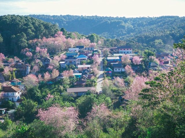 บ้านร่องกล้า