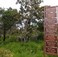 ้ลานหินงาม 