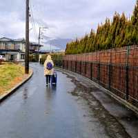 MOUNT FUJI VIEWING GARDEN HOTEL, JAPAN