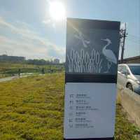 白天傍晚不同的美-雙溪濕地公園