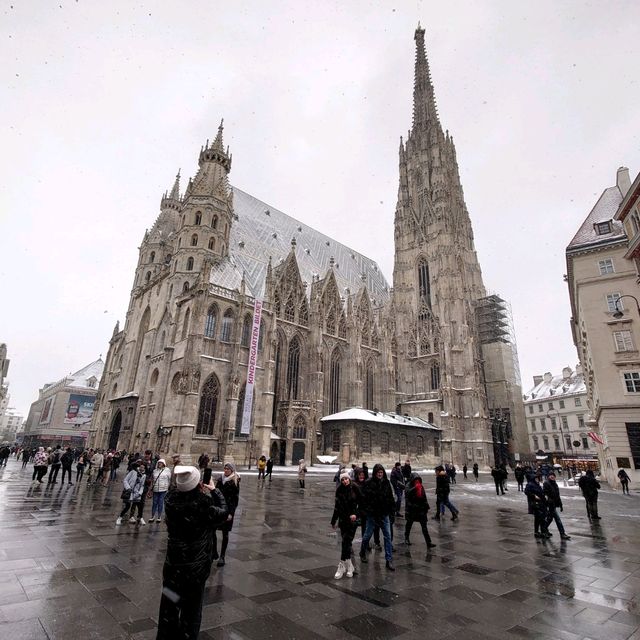 維也納最美教堂被上白衣
