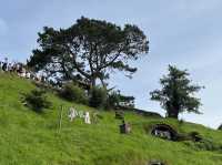 奧克蘭必去景點｜Hobbiton Movie Set，the lord of ring 拍攝景點