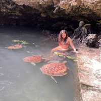 Experience nature up close in Nungwi zanzibar