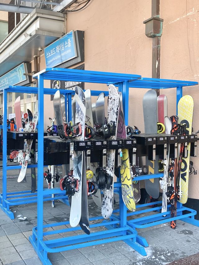 홍천 스키장 추천