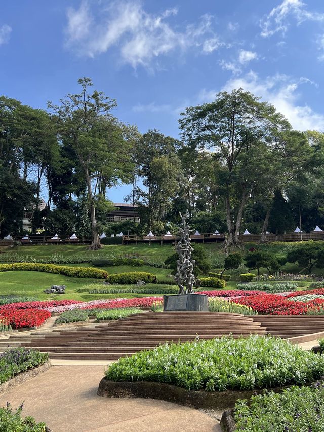 สวนดอกไม้สวยๆ ชมความงดงามบนยอดดอย