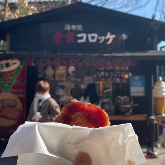 지금 가기 딱 좋은 일본 여행 💖