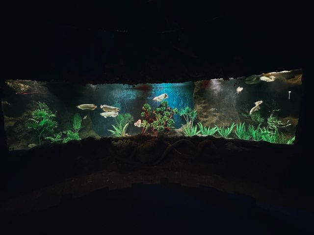 ท่องเที่ยวกับโลกใต้ท้องทะเล Underwater World ญาจาง