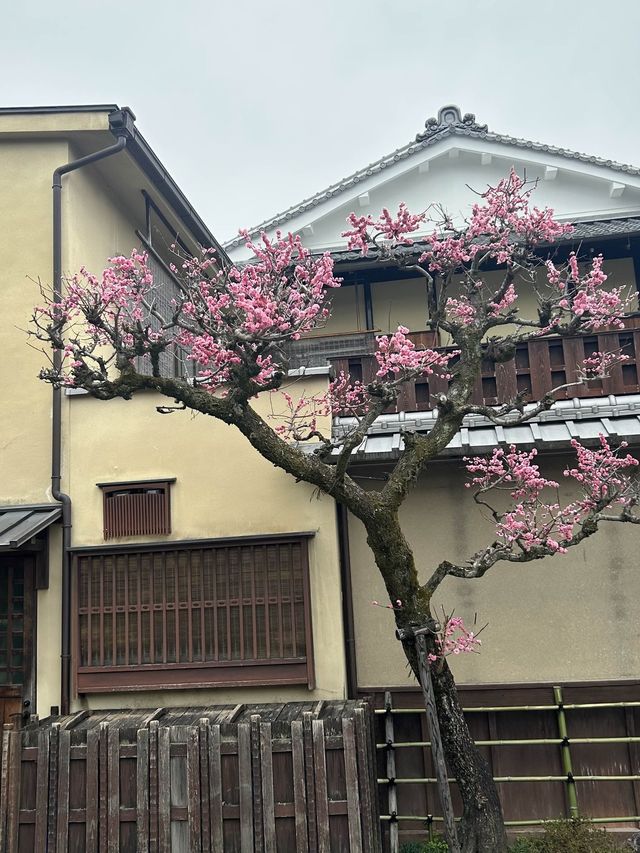 일본감성 최고치-교토 산넨자카,청수사🏮