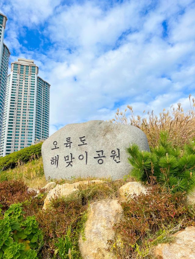 부산여행가면 필수로 가야하는 해맞이공원