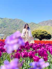 지금 당장 양산에 가야하는 EU 🌷🩷
