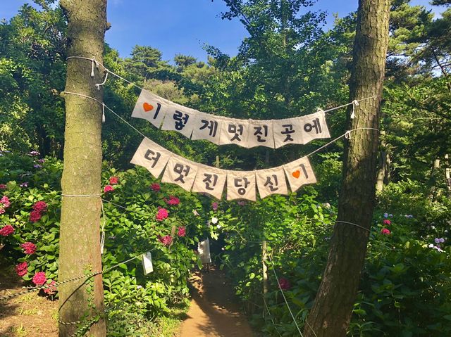 여름에가면 더 예쁜 국가지질공원 부산 명소 태종대