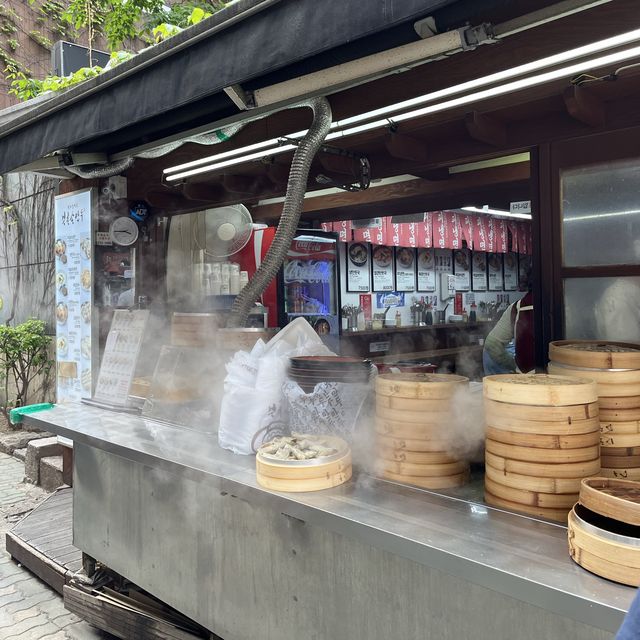 Best dumpling ( Mandu) 