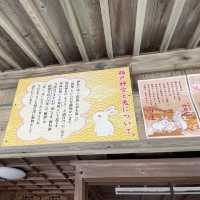 【宮崎】日南観光の際はぜひ