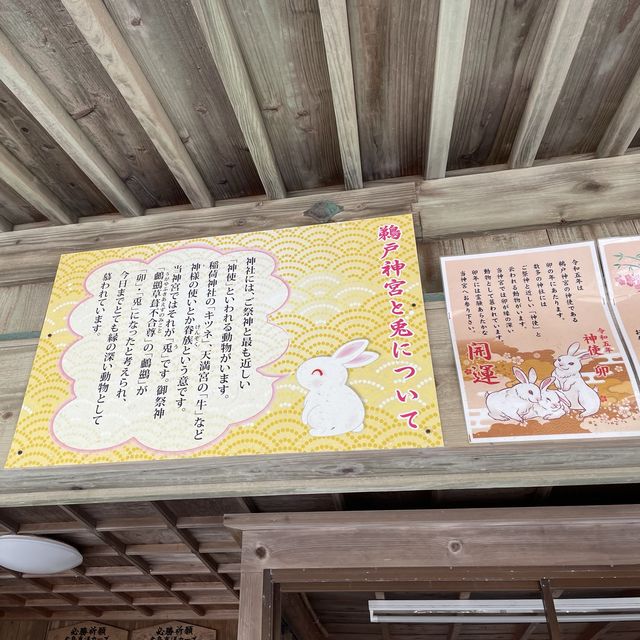 【宮崎】日南観光の際はぜひ