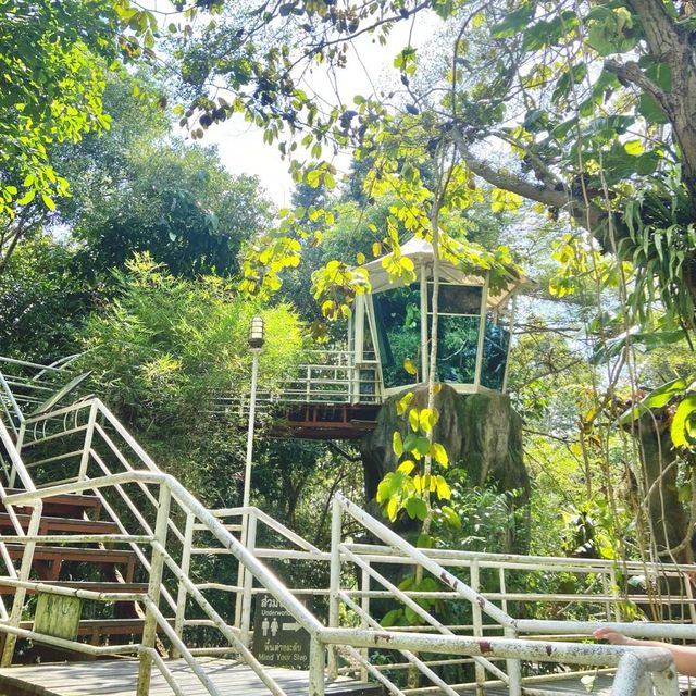สวนนายดำ จ.ชุมพร (Suan Nai Dum)