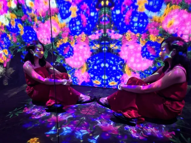 Immersive Experience at teamLab Exhibition in Macao