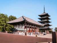 ❣️เที่ยว Nara Park : Todaiji temple วัดโทไดจิ