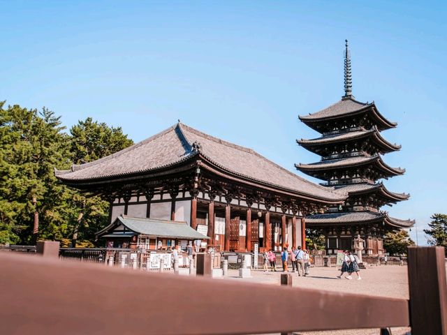 ❣️เที่ยว Nara Park : Todaiji temple วัดโทไดจิ
