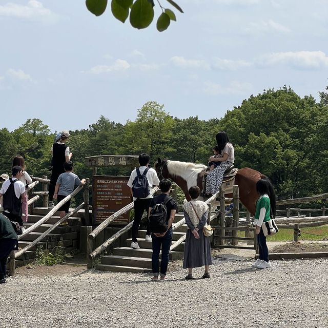 【栃木】那須高原で遊ぶなら南ヶ丘牧場