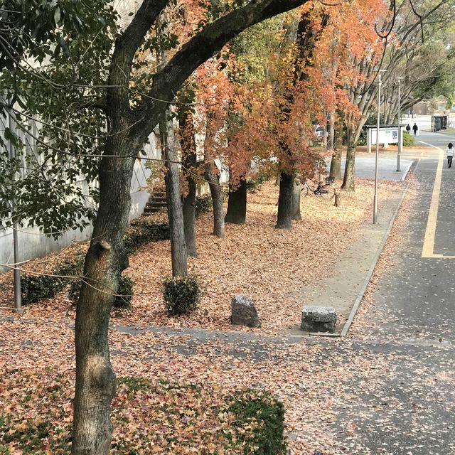 Aesthetic Osaka that you'll miss