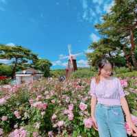 首爾藍天🩵🌞必到打卡點首爾大公園