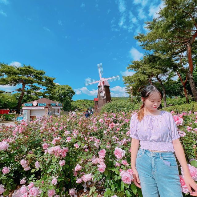 首爾藍天🩵🌞必到打卡點首爾大公園