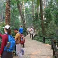 Kuang Si Waterfall: Nature's masterpiece unveiled