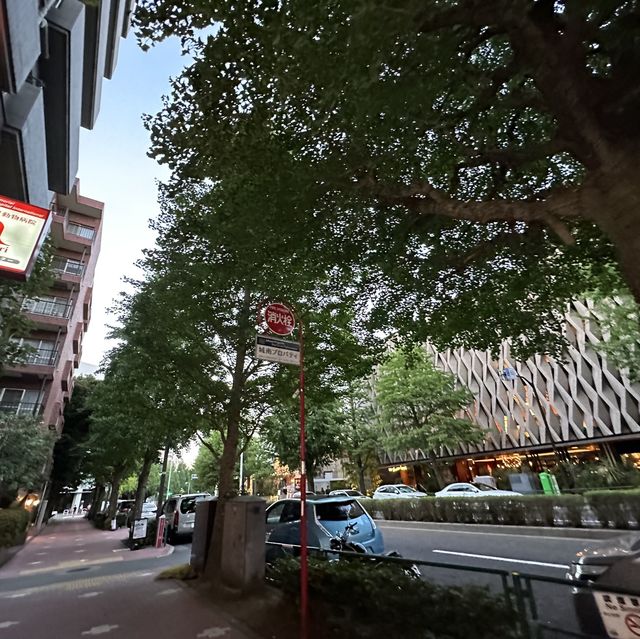 【東京】夏の白金台の銀杏並木