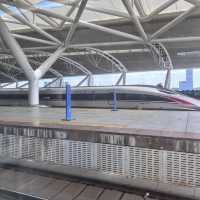 高鐵初體驗🚝方便快捷