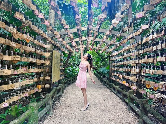 颱風下勇闖青島神社⛩️