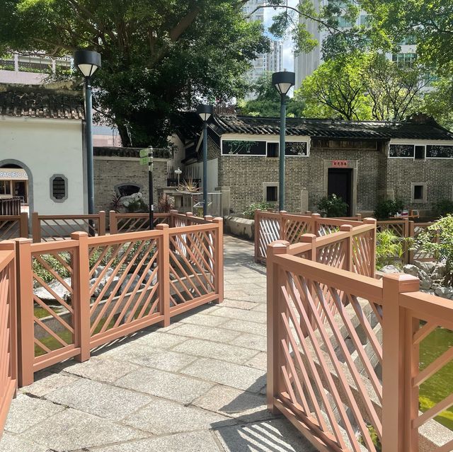 🌳荃灣區·古樸後花園🌳 🌳荃灣區·古樸後花園🌳