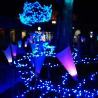 夢幻光之遊園地 - 大阪枚方公園（冬季限定）