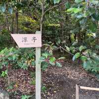 19세기 일본정원에서 산책해볼까요? 도쿄 기요스미 정원에서🍃