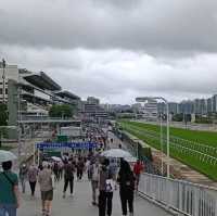 《新馬季開鑼》沙田馬場全新藝術文化打卡點