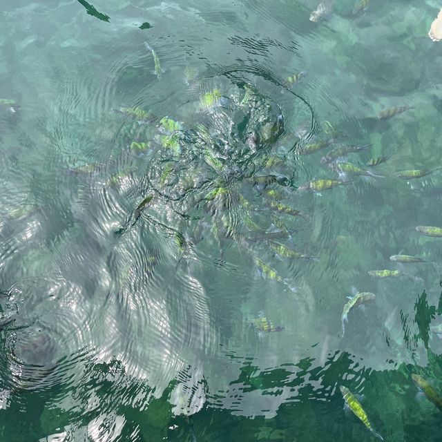 ครั้งหนึ่ง ณ กระบี่🌊🦀🚤🪸