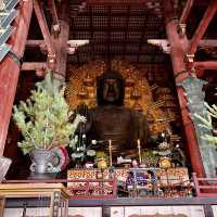 An amazing Todaiji temple 🙏 